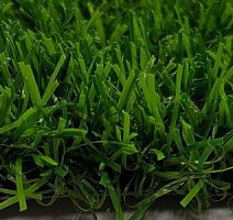 Пелегрин 20мм